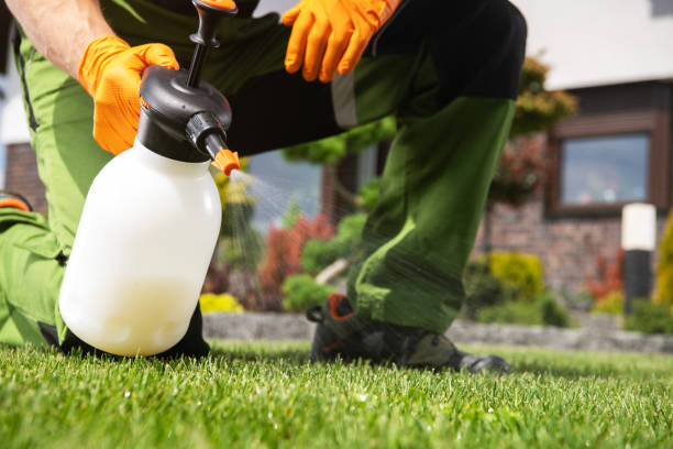 Best Cockroach Control Services  in Frisco, TX