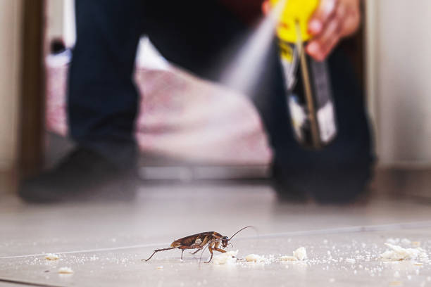 Best Residential Pest Control  in Frisco, TX