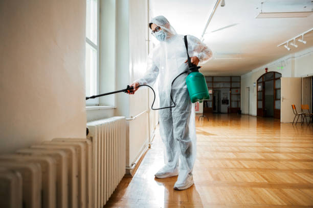 Best Termite Control Services  in Frisco, TX